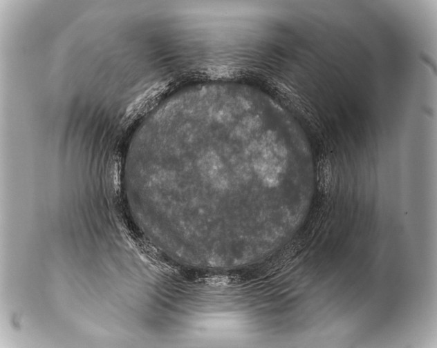 X0000102400740200808291445