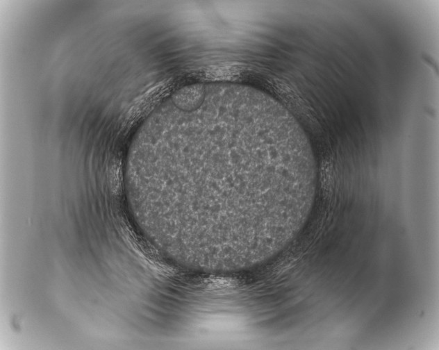 X0000102400741200808291445