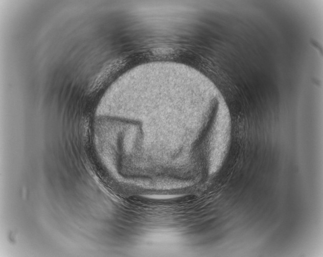 X0000102400742200808291445