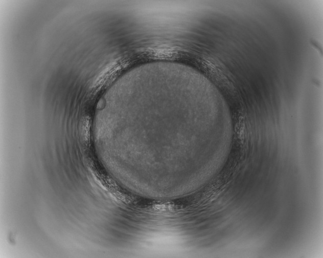 X0000102400744200808291445