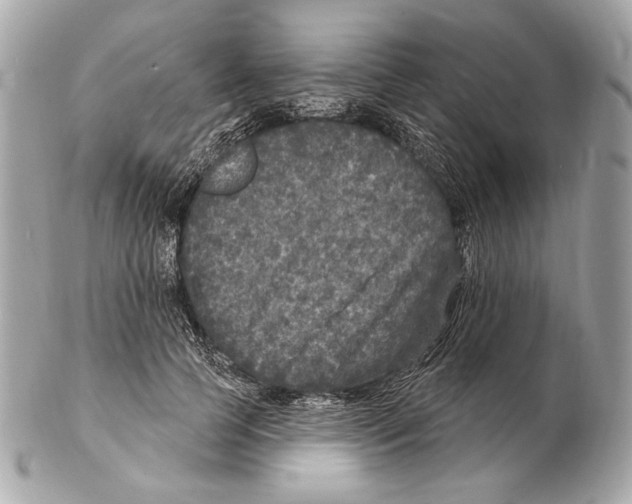 X0000102400745200808291445