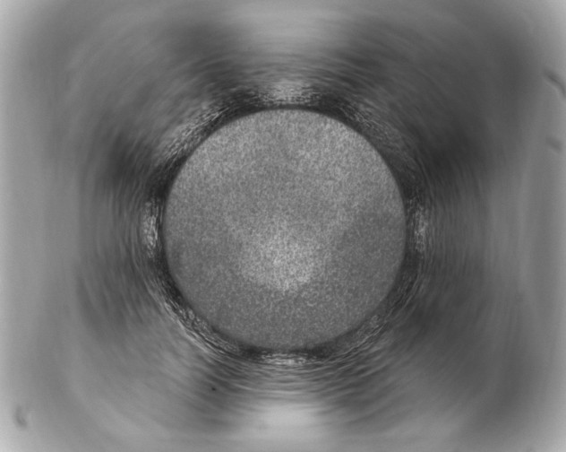 X0000102400746200808291445