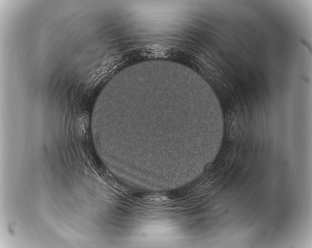 X0000102400747200808291445