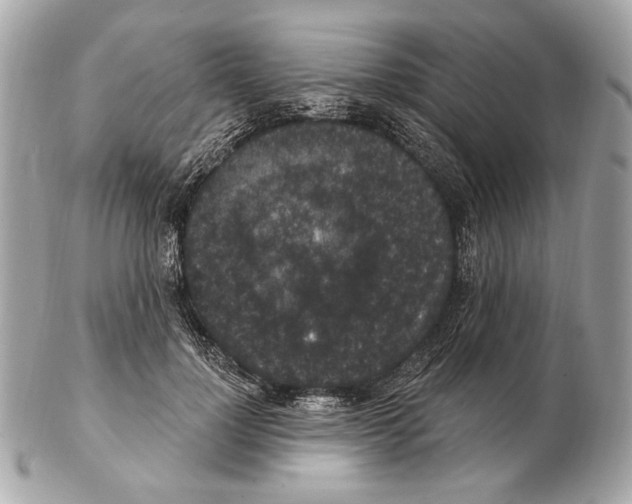 X0000102400748200808291445
