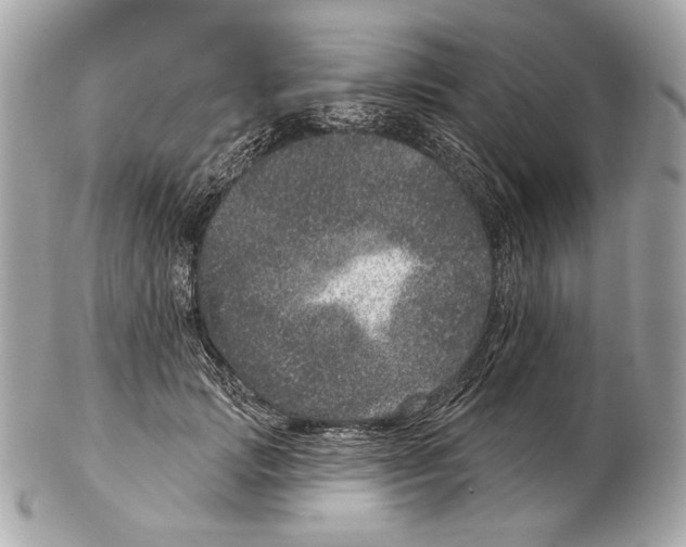 X0000102400749200808291445