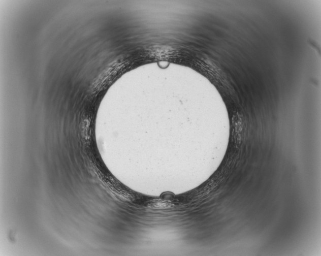 X0000102400750200808291445