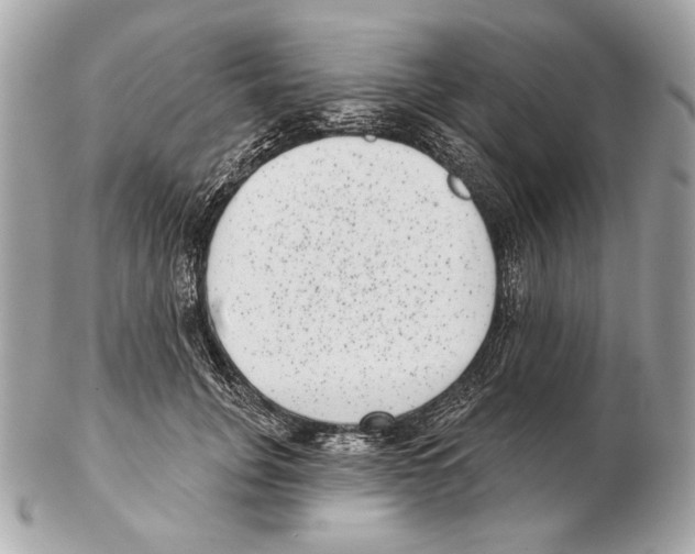 X0000102400751200808291445