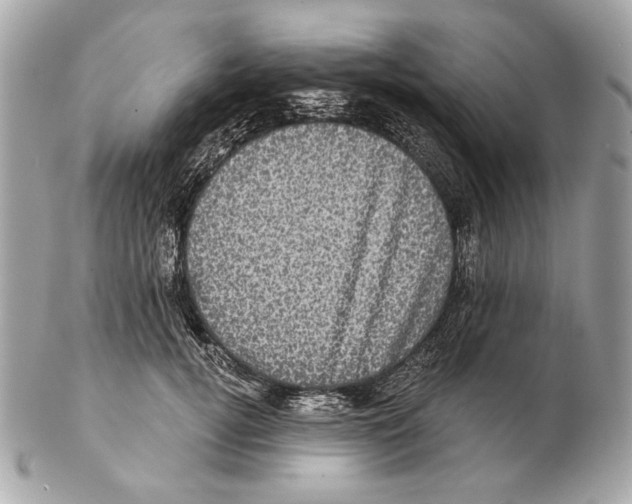X0000102400752200808291445