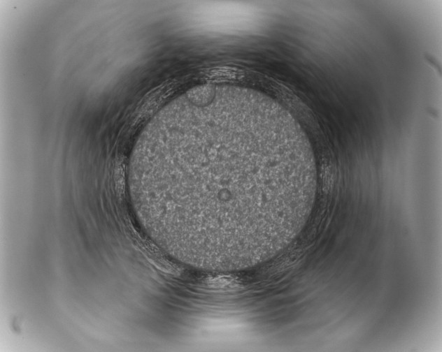 X0000102400753200808291445