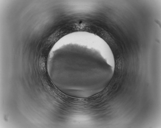 X0000102400754200808291445