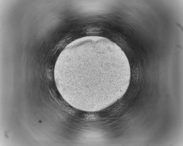 X0000102400755200808291445