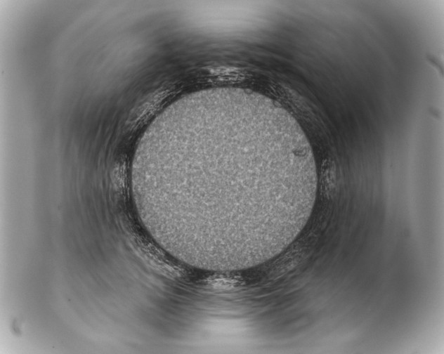 X0000102400756200808291445