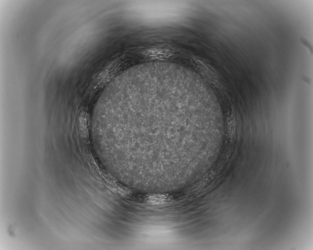 X0000102400757200808291445