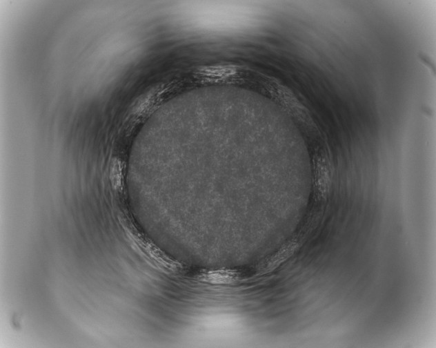 X0000102400758200808291445