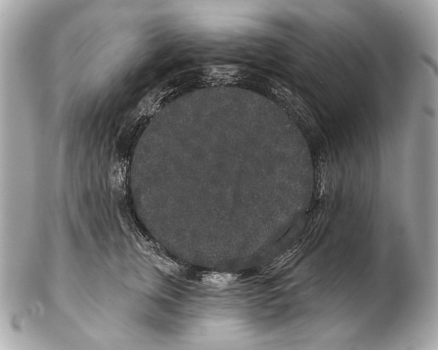 X0000102400759200808291445