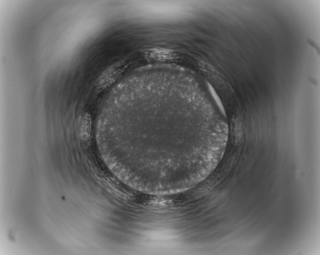 X0000102400760200808291445