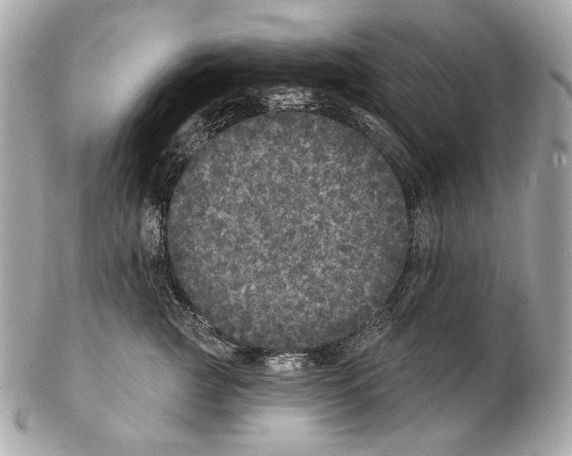 X0000102400761200808291445