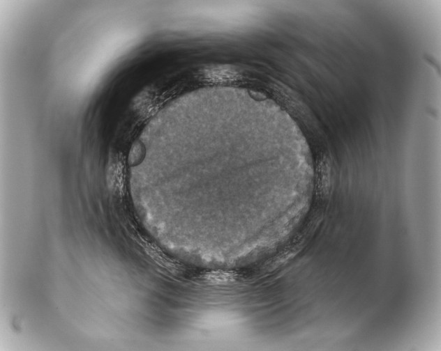 X0000102400762200808291445