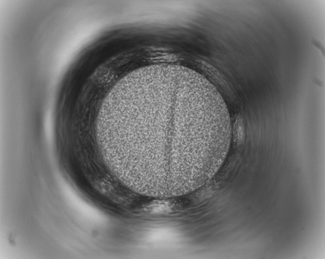 X0000102400764200808291445
