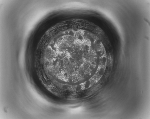 X0000102400765200808291445