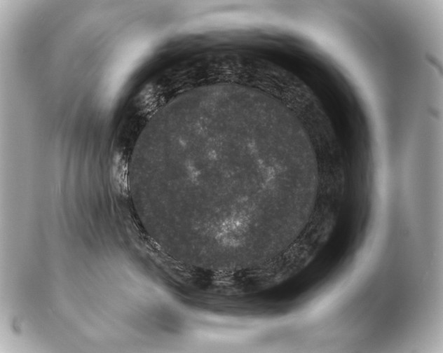 X0000102400766200808291445