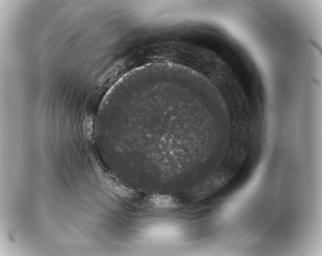 X0000102400767200808291445