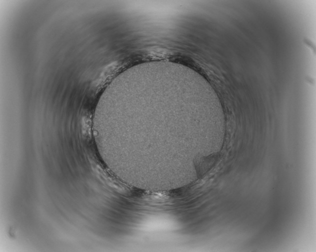 X0000102400768200808291445