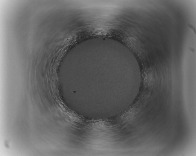 X0000102400769200808291444