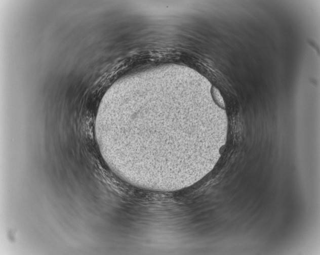 X0000102400770200808291444