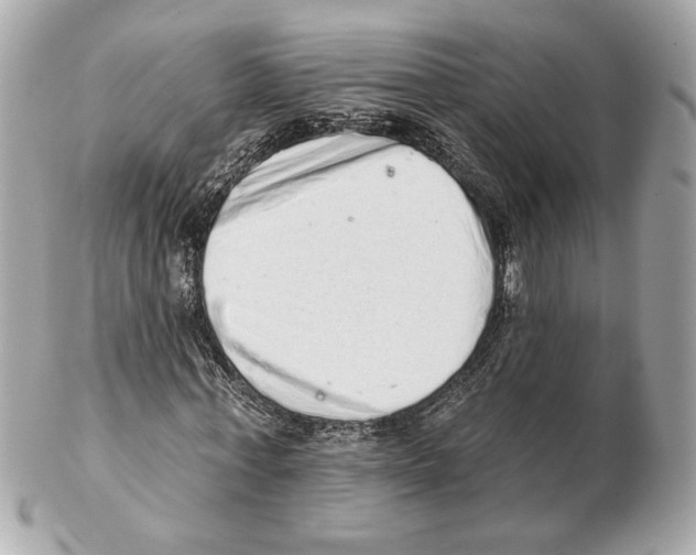 X0000102400771200808291444