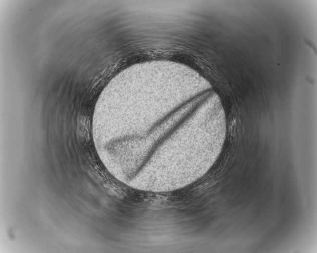 X0000102400772200808291444