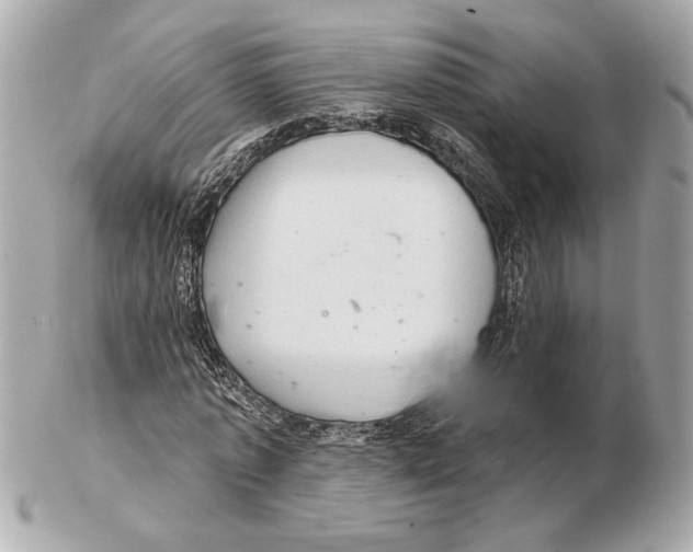 X0000102400773200808291444