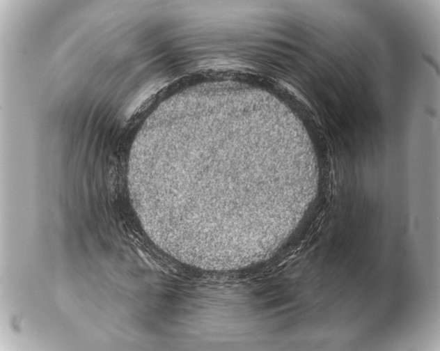 X0000102400775200808291444
