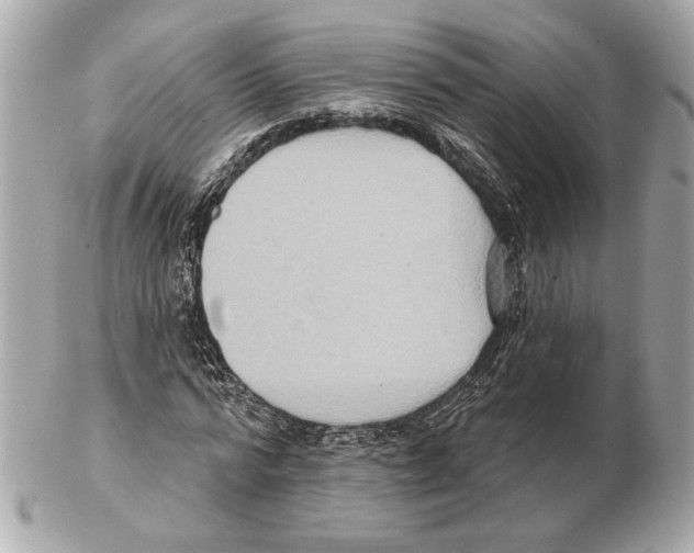 X0000102400776200808291444