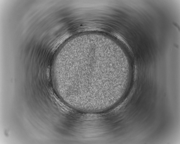 X0000102400777200808291444