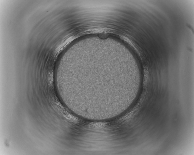X0000102400778200808291444