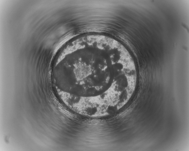 X0000102400779200808291444