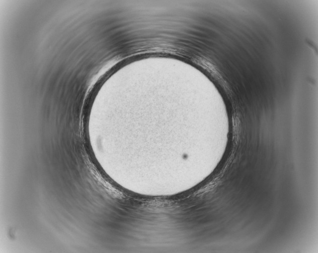 X0000102400780200808291444