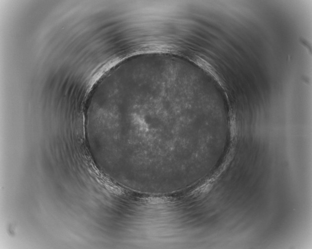X0000102400781200808291444