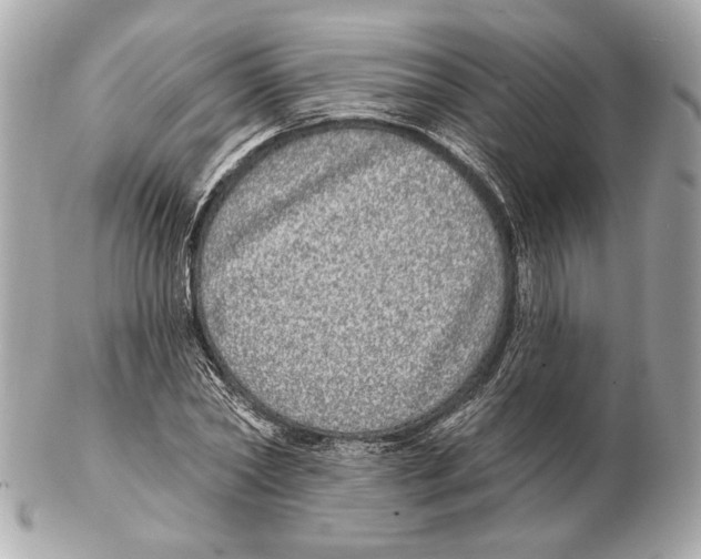 X0000102400782200808291444