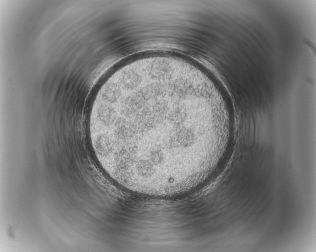 X0000102400783200808291444