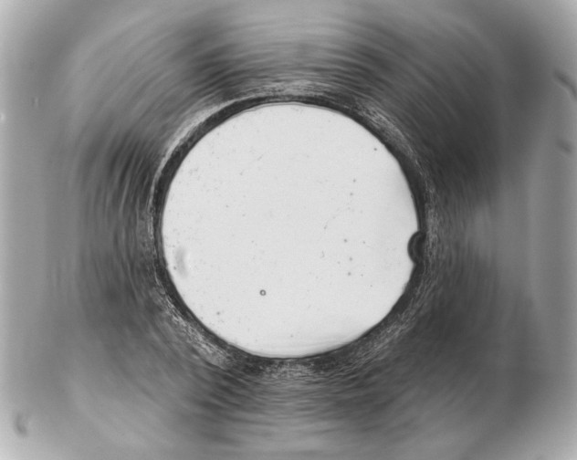 X0000102400784200808291444