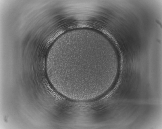 X0000102400785200808291444