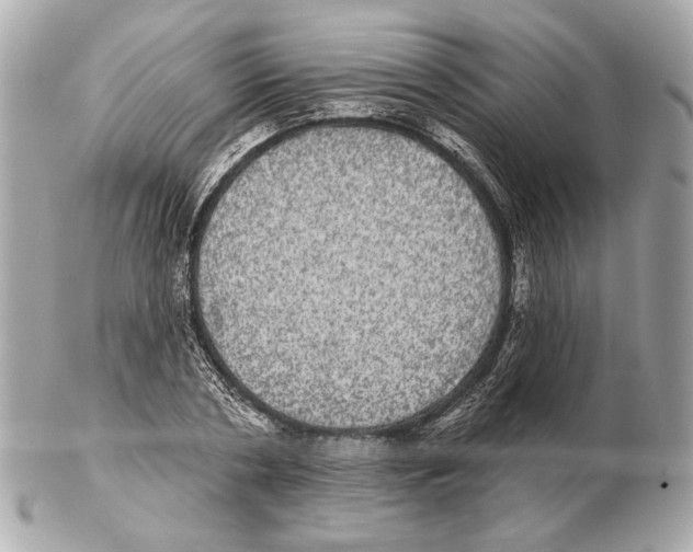 X0000102400786200808291444