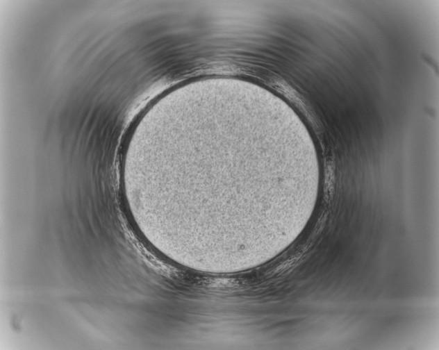 X0000102400787200808291444