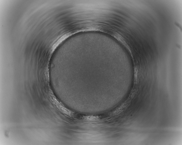 X0000102400789200808291444