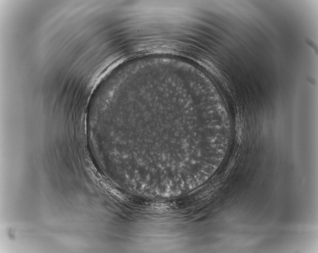 X0000102400790200808291444
