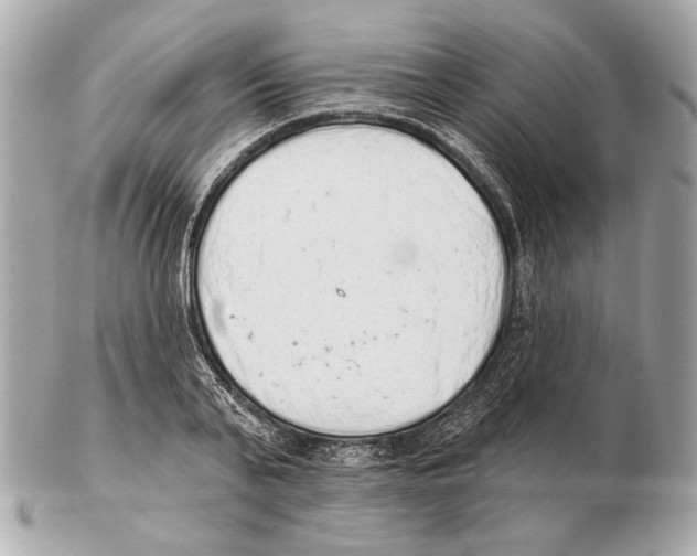 X0000102400791200808291444