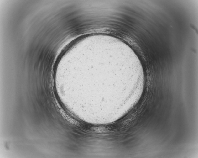 X0000102400792200808291444