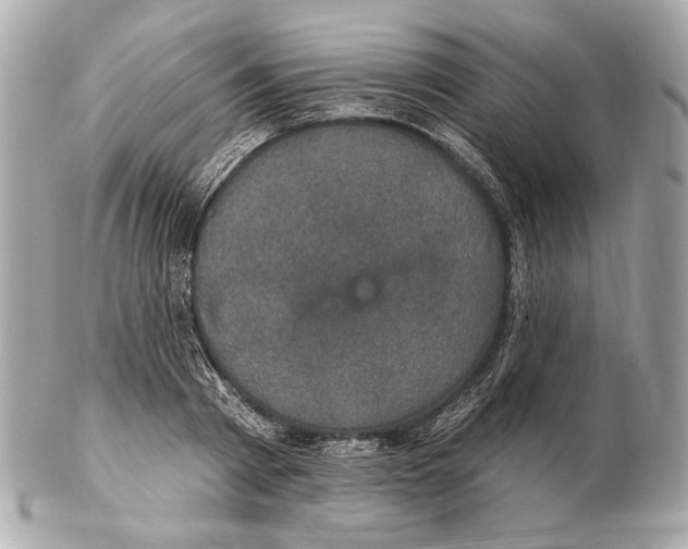 X0000102400793200808291444